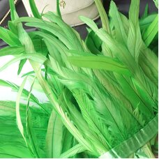 Тесьма из перьев гуся 25-30 см, 1м. Салатовые