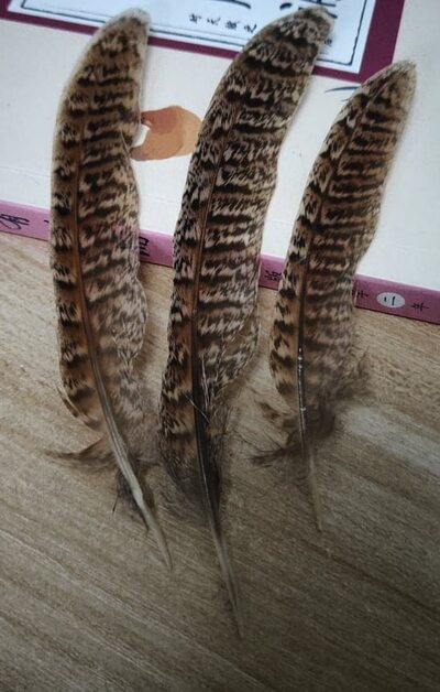 Декоративные перья Pheasаnt 9-14 см. 10 шт.