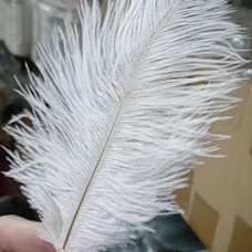 Перья страуса 10-15 см. 10 шт. Белый цвет