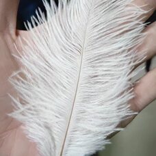 Перья страуса 10-15 см. 10 шт. Белый цвет