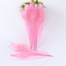 Цветные перья павлина 25-30 см. Розовый цвет