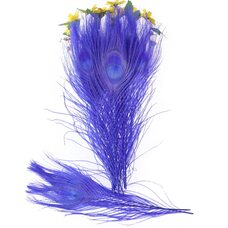 Цветные перья павлина 25-30 см. Синего цвета