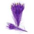 Цветные перья павлина 25-30 см. Фиолетовый цвет