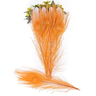 Цветные перья павлина 25-30 см. Оранжевый цвет