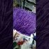 Тесьма из перьев страуса на ленте 8-10 см, 1м. - Фиолетовый цвет