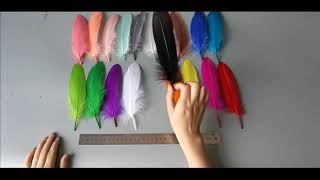 Пушистые перья гуся 13 18 см1