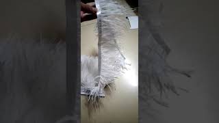 Тесьма из перьев страуса 8-10 см, 1м. - Белый цвет