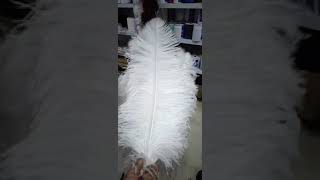 Премиум перья страуса 60-65 см. Белый цвет