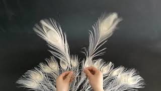 Цветные перья павлина 25-30 см. Белый цвет